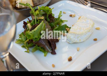 Formaggio Saint Marcellin con pinoli Foto Stock