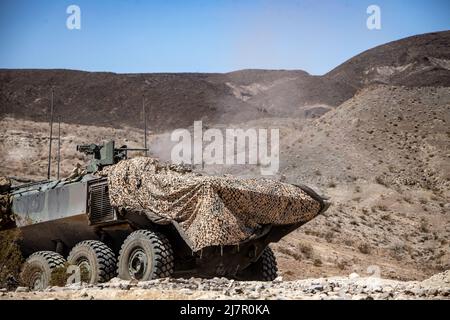 U.S. Marines with Bravo Company, 3D Assault Amphibian Battaglione, 1st Marine Division, spara una mitragliatrice di calibro .50 da un veicolo di combattimento anfibio in posizione difensiva durante Integrated Training Exercise (ITX) 3-22 presso Marine Corps Air Ground Combat Center Twentynine Palms, California, 27 aprile 2022. ITX è un'evoluzione di training che dura un mese e che comprende diverse gamme per perfezionare la manovra combinata delle armi in operazioni di combattimento offensive e difensive. (STATI UNITI Foto del corpo marino di CPL. Jacob Yost) Foto Stock