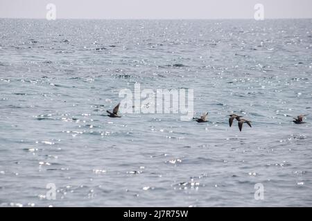 Vault Beach 290422 Foto Stock