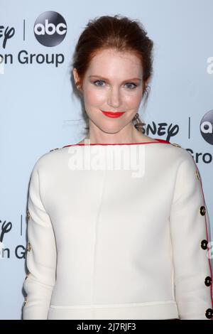 LOS ANGELES - JAN 17: Darby Stanchfield al Disney-ABC Television Group 2014 Winter Press Tour Party Arrivi al Langham Huntington il 17 gennaio 2014 a Pasadena, CA Foto Stock