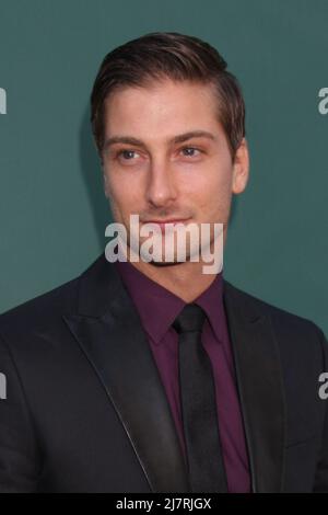 LOS ANGELES - LUGLIO 8: Daniel Lissing alla Crown Media Networks Luglio 2014 TCA Party alla Private Estate il 8 luglio 2014 a Beverly Hills, CA Foto Stock