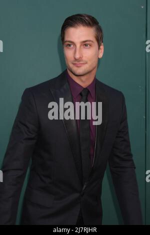 LOS ANGELES - LUGLIO 8: Daniel Lissing alla Crown Media Networks Luglio 2014 TCA Party alla Private Estate il 8 luglio 2014 a Beverly Hills, CA Foto Stock