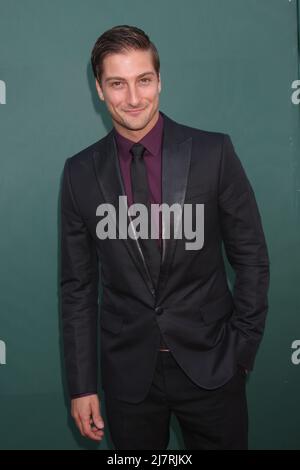 LOS ANGELES - LUGLIO 8: Daniel Lissing alla Crown Media Networks Luglio 2014 TCA Party alla Private Estate il 8 luglio 2014 a Beverly Hills, CA Foto Stock