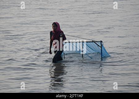 Satkhira, Bangladesh. 6th maggio 2022. Una donna cattura piccoli pesci con una rete nel fiume Kholpatua vicino alla foresta Sundarban a Shyamnagar nel distretto di Satkhira. (Credit Image: © Piyas Biswas/SOPA Images via ZUMA Press Wire) Foto Stock