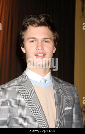 LOS ANGELES - DEC 10: Ansel Elgort al 21st Annual Screen Actors Guild Awards Nominations Announcement al Pacific Design Center il 10 dicembre 2014 a West Hollywood, California Foto Stock