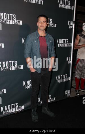 LOS ANGELES - Oct 3: Dean Geyer al Knott's Scary Farm Celebrity VIP Opening at Knott's Berry Farm il 3 ottobre 2014 a Buena Park, California Foto Stock