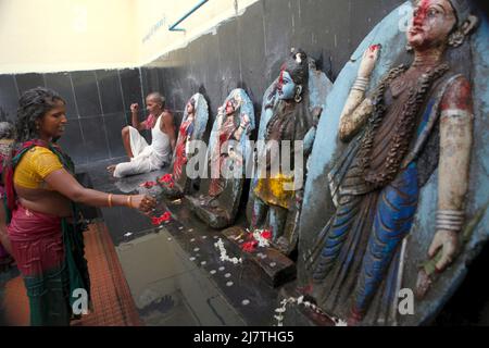 Una donna pellegrina versando acqua di fronte alle divinità indiane dopo aver fatto un bagno in una sorgente termale calda, che si ritiene abbia qualità curative, situato all'interno del complesso tempio di Lakshmi Narayan a Rajgir, Bihar, India. Foto Stock