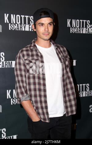 LOS ANGELES - Oct 3: Tyler Blackburn al Knott's Scary Farm Celebrity VIP Opening at Knott's Berry Farm il 3 ottobre 2014 a Buena Park, California Foto Stock