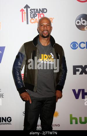 LOS ANGELES - SEP 5: Comune allo Stand Up 2 Cancer Telecast Arrivi al Dolby Theatre il 5 settembre 2014 a Los Angeles, CA Foto Stock