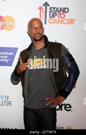 LOS ANGELES - SEP 5: Comune allo Stand Up 2 Cancer Telecast Arrivi al Dolby Theatre il 5 settembre 2014 a Los Angeles, CA Foto Stock