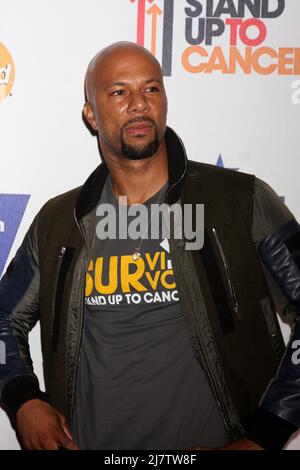 LOS ANGELES - SEP 5: Comune allo Stand Up 2 Cancer Telecast Arrivi al Dolby Theatre il 5 settembre 2014 a Los Angeles, CA Foto Stock