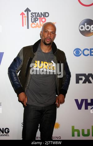 LOS ANGELES - SEP 5: Comune allo Stand Up 2 Cancer Telecast Arrivi al Dolby Theatre il 5 settembre 2014 a Los Angeles, CA Foto Stock