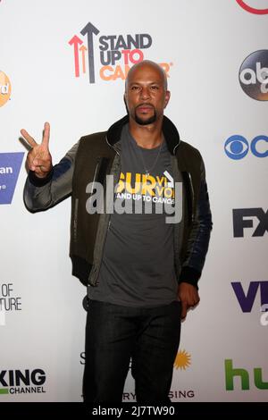 LOS ANGELES - SEP 5: Comune allo Stand Up 2 Cancer Telecast Arrivi al Dolby Theatre il 5 settembre 2014 a Los Angeles, CA Foto Stock