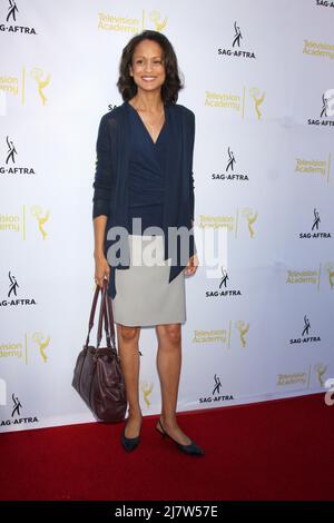 LOS ANGELES - AGO 12: Anne-Marie Johnson al Dynamic & diversity: A Emmy Awards 66th Celebration of Diversity Event at Television Academy il 12 agosto 2014 a North Hollywood, California Foto Stock