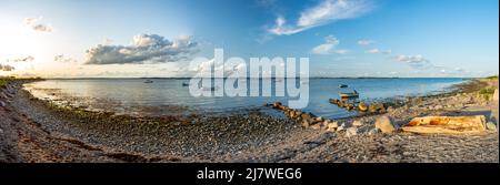 Foto panoramica di una tranquilla spiaggia di ciottoli al tramonto sul tranquillo Mar Baltico a Westerholz, nella Germania settentrionale Foto Stock