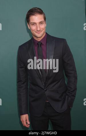 LOS ANGELES - LUGLIO 8: Daniel Lissing alla Crown Media Networks Luglio 2014 TCA Party alla Private Estate il 8 luglio 2014 a Beverly Hills, CA Foto Stock