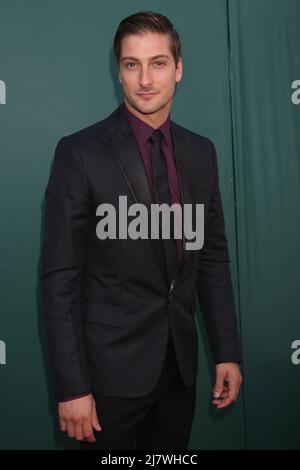 LOS ANGELES - LUGLIO 8: Daniel Lissing alla Crown Media Networks Luglio 2014 TCA Party alla Private Estate il 8 luglio 2014 a Beverly Hills, CA Foto Stock