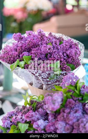 Fiori di lilla viola freschi in fiore presso il negozio di fiori all'aperto. Fiore di primavera. Foto Stock