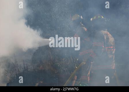 I vigili del fuoco combattono contro un fuoco dell'edificio Foto Stock