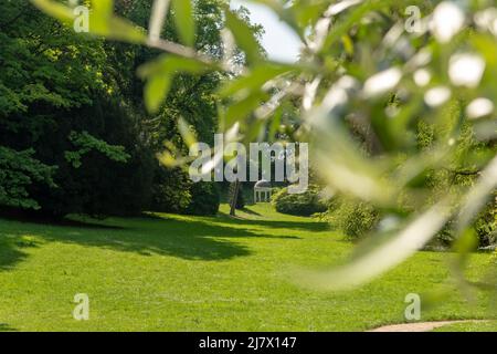 Freundschaftstempel tempio a Staatspark Fürstenlager, Auerbach, Bensheim, Germania durante l'estate, Leaf verde di un albero di fronte, prato vuoto, tedesco Foto Stock