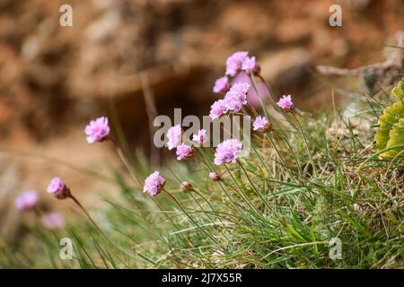 Vault Beach 290422 Foto Stock