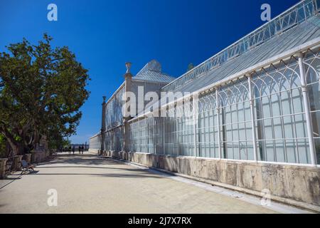 Portogallo, provincia litorale di Beira, Università di Coimbra, serra all'interno dei giardini botanici (Jardim Botânico da Universidade de Coimbra) Foto Stock