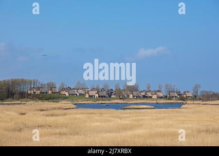 Holiday Village Reetdorf Geltinger Birk, Gelting Birk Nature Reserve, Gelting Bay, Schleswig-Holstein, Germania Foto Stock