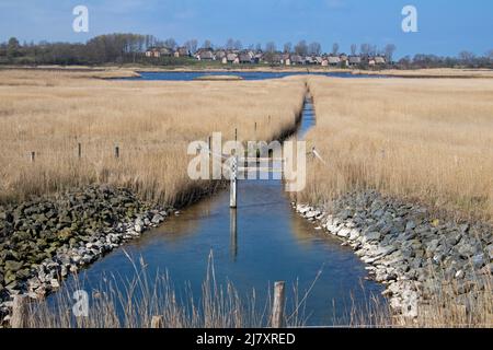 Holiday Village Reetdorf Geltinger Birk and Waterlogging, Gelting Birk Nature Reserve, Gelting Bay, Schleswig-Holstein, Germania Foto Stock