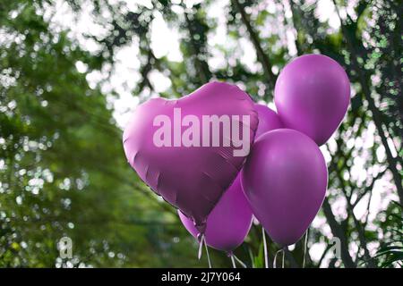 palloncini colorati di colore rosa all'aperto - festa di compleanno e concetto di tè rivelazione Foto Stock