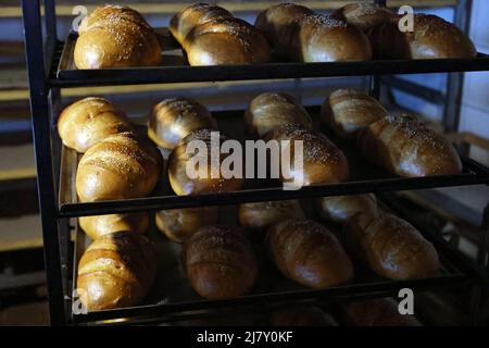 Regione di Ivano-Frankivsk, Ucraina - 10 maggio 2022 - pani di pane appena sfornato per le forze Armate dell'Ucraina sono visti alla panetteria locale, villaggio di Stari Bohorodchany, regione di Ivano-Frankivsk, Ucraina occidentale. Questa foto non può essere distribuita nella Federazione russa. Foto di Yurii Rylchuk/Ukrinform/ABACAPRESS.COM Foto Stock