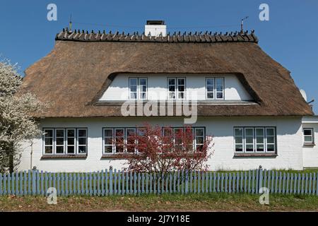 Casa di paglia, Falshöft, Gelting Bay, Schleswig-Holstein, Germania Foto Stock