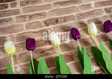 Bei tulipani su sfondo muro di mattoni, grazioso biglietto di auguri con tulipani per il giorno delle madri, matrimonio o felice evento concetti. Spazio di copia per il testo. Foto Stock