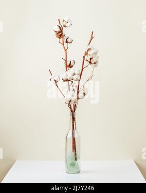 Bouquet di fiori di cotone in vaso di vetro sul tavolo su sfondo beige chiaro Foto Stock