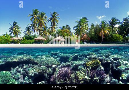 Immagine divisa, sopra sotto, barriera corallina di fronte ad un'isola delle maldive, Maldive, Oceano Indiano, Asia Foto Stock