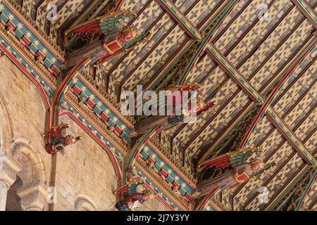 I colorati angeli di legno guardano in basso dal soffitto dipinto del transetto Nord della Cattedrale di Ely Foto Stock