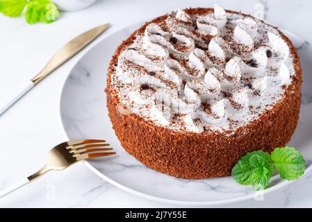 Perfetta torta di tiramisù fatta in casa cosparsa di polvere di cacao sul piatto Foto Stock