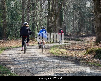 La famiglia in bicicletta nella New Forest, Hampshire, Regno Unito Foto Stock