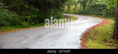 Questa strada asfaltata tortuosa e curva potrebbe presentare una sensazione di incertezza o addirittura di mal di movimento, mentre i passeggeri si intrecciano intorno alle curve. L'albero verde Foto Stock