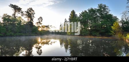 Etang de Lamoulasse au printemps 2 Foto Stock