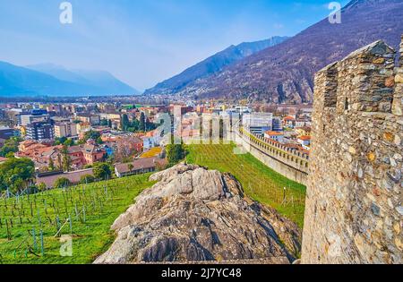 La vista sui piccoli vigneti alle pendici della fortezza di Castelgrande a Bellinzona, Svizzera Foto Stock