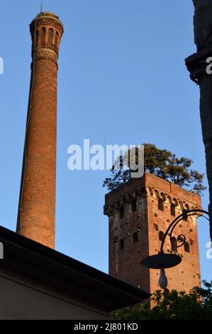 Lucca, Italia - 14 Aprile 2022: gli edifici di lucca e la Torre Guinigi in una serata di sole Foto Stock