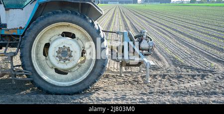 Trattore in piedi in un campo agricolo con file di prodotto appena emerso Foto Stock