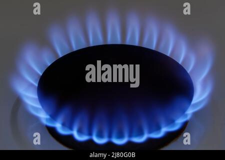 Fiamma del bruciatore domestico del gas Foto Stock