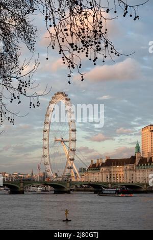 LONDRA, Regno Unito - 20 FEBBRAIO 2019: London Eye e County Hall sulla riva sud del Tamigi alla luce dorata della sera Foto Stock