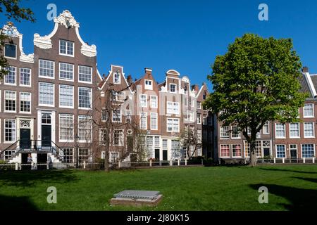 Il Begijnhof è uno dei più antichi hofjes di Amsterdam, Paesi Bassi. Un gruppo di edifici storici, per lo più abitazioni private, sono al centro di esso. Foto Stock