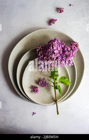 Vista dall'alto di un ambiente primaverile con fiori lilla Foto Stock