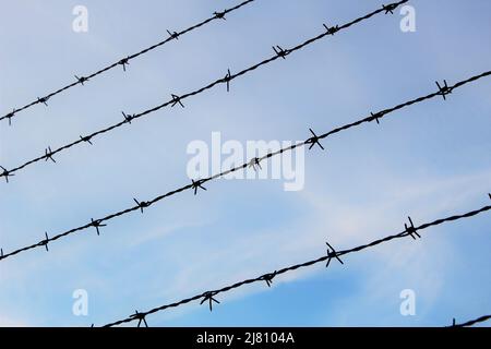 Linee parallele di filo spinato contro un cielo azzurro. Sfondo del concetto di prigione o sfondo con spazio di testo o copia. Desiderio di libertà idea Foto Stock