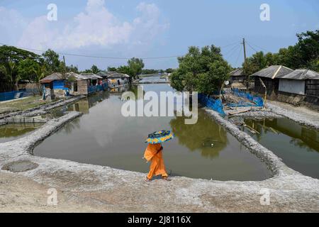 Satkhira, Bangladesh. 6th maggio 2022. Una donna che cammina lungo una strada fangosa nella zona costiera vicino a Sundorban a Satkhira. (Credit Image: © Piyas Biswas/SOPA Images via ZUMA Press Wire) Foto Stock