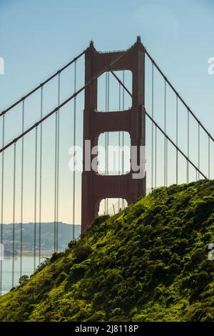 La Torre del Golden Gate Bridge si sbirca da dietro il lato di Bright Green Hill nella Baia di San Francisco Foto Stock