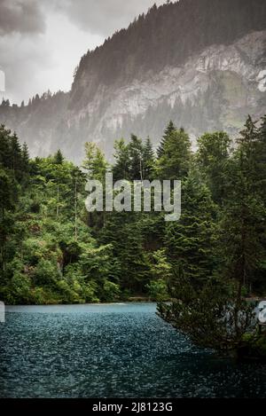 Un romantico lago boschivo nella valle di Kander, splendida vista di Blausee un laghetto cristallino in Svizzera, Alpi Bernesi, Kandersteg, Canton Berna, Foto Stock